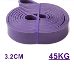 Resistance Loop band purple color