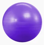 65cm Fitness Gym ball With Pumper purple