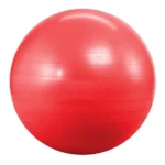 65cm Fitness Gym ball With Pumper red